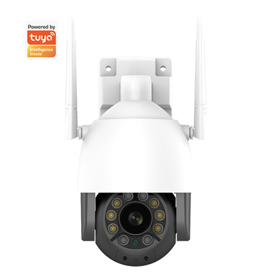 鍋/傾きの動き検出のWifiのカメラとのスマートなホーム セキュリティーのカメラ屋外のWhalecam 1080P Wi-Fi
