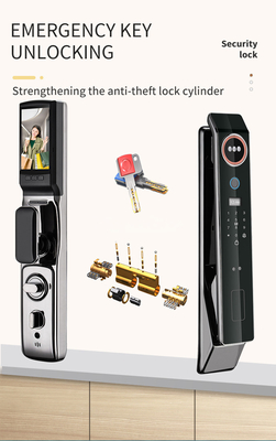 グロマーケット 工場価格 Wifi アプリ スマートドアロック 顔認識 バイオメトリック指紋 セルラドゥラ サポート インターコン機能