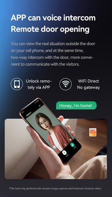 グロマーケット ツヤ Wifi スマートロック アルミ 木製 ドア 顔認識 パームプリント バイオメトリック 指紋 デジタル スマートロック