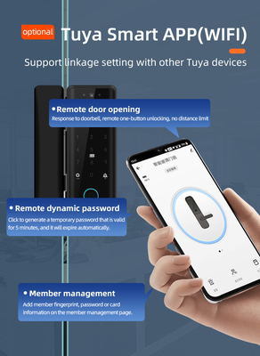 グロマーケット ツヤ スマート 3D 顔認識 Wifi ガラスドアロック 指紋カード パスワード 電子ガラスドアロック オフィス用
