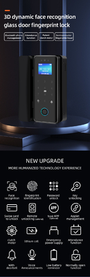 グロマーケット ツヤ スマート 3D 顔認識 Wifi ガラスドアロック 指紋カード パスワード 電子ガラスドアロック オフィス用