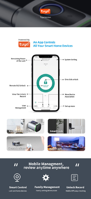 グロマーケットホーム スマートドアロック Ttlock スマート指紋カード鍵ロック 調節可能なシリンダーユーロ スマートロック ツヤ アプリ ドアロック